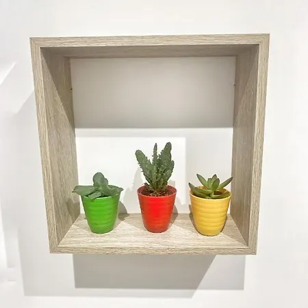 Апартаменты Puerta De 5 Callejon De Don Alvaro Касерес