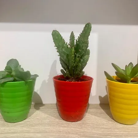 Апартаменты Puerta De 5 Callejon De Don Alvaro *