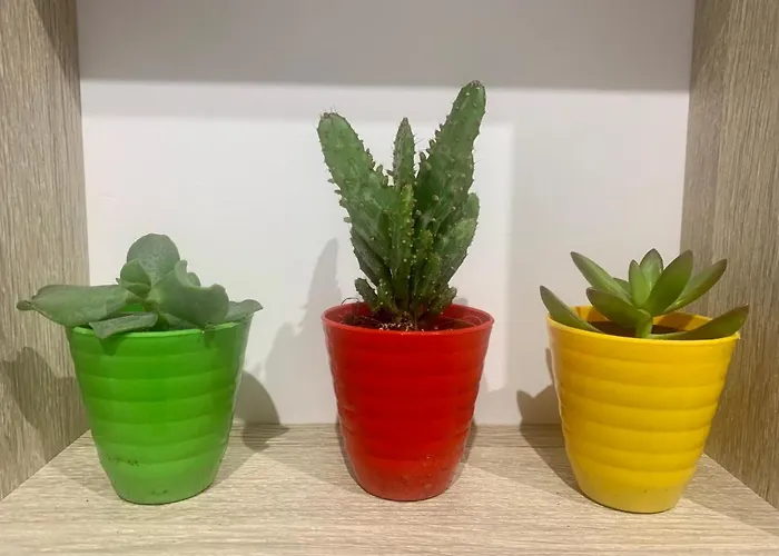 Appartamento Puerta De 5 Callejón De Don álvaro *